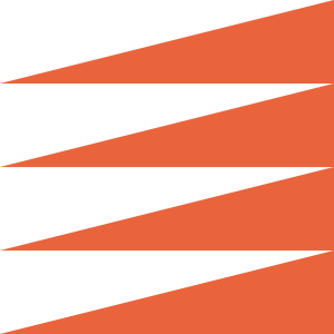 fast icon
