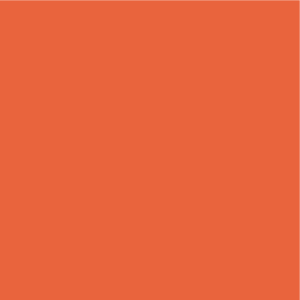 Norm icon