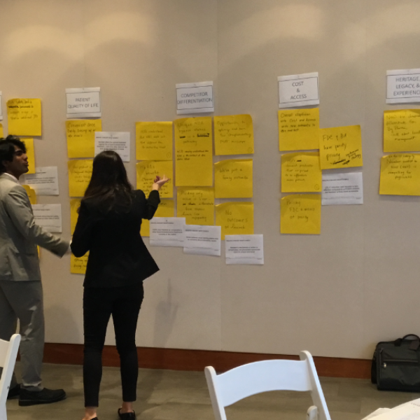 Cognitive Consulting